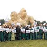 Rwanda Names 20 Newly Born Gorillas at Kwita Izina Event 2022